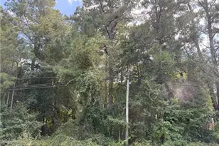 Lot 3 E Williams St, Autryville, NC 28318 - Photo 1