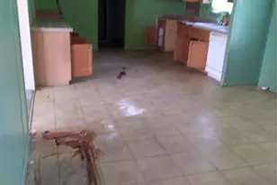 15841 St Johns Church Rd, Gibson, NC 28343 - Photo 12