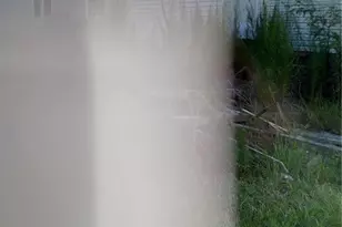 15841 St Johns Church Rd, Gibson, NC 28343 - Photo 18