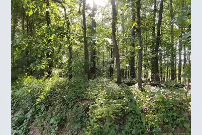 Lot 8 Lemon Springs Road, Sanford, NC 27332 - Photo 6