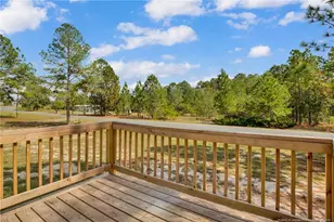 266 Brower Rd, Cameron, NC 28326 - Photo 24