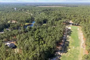 15941 Old Orchard Ct, Wagram, NC 28396 - Photo 40