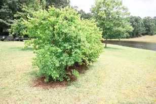 2847 Pickard Rd Rd, Sanford, NC 27330 - Photo 10