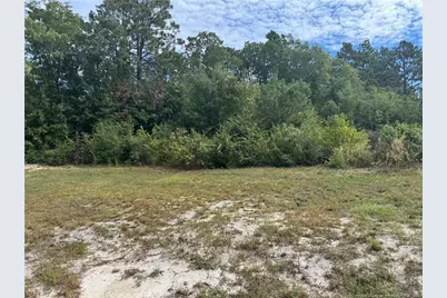 909 Wiregrass Road, Hamlet, NC 28345 - Photo 4