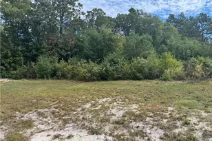 909 Wiregrass Rd, Hamlet, NC 28345 - Photo 4