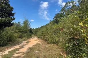 909 Wiregrass Rd, Hamlet, NC 28345 - Photo 6