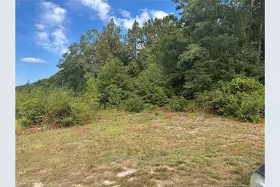 909 Wiregrass Road, Hamlet, NC 28345 - Photo 2