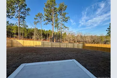 251 Harborwood Street, Lillington, NC 27546 - Photo 46