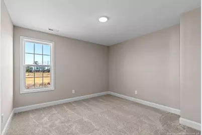 171 Meadow Sage (Lot 121) Street, Raeford, NC 28376 - Photo 18