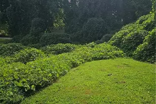 527 Smith St, High Point, NC 27260 - Photo 20