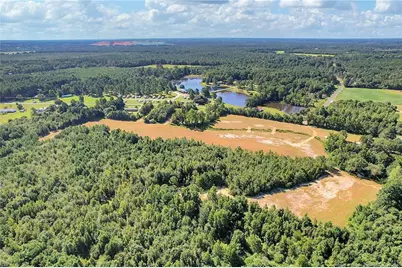 0 Laurel Lake (Lot 5) Road, Salemburg, NC 28385 - Photo 8