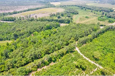 Seals Road, Laurinburg, NC 28352 - Photo 16