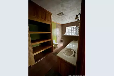 3054 Burney Road, Bladenboro, NC 28320 - Photo 16