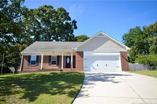 117 Purple Martin Pl, Fayetteville, NC 28306 - Photo 1