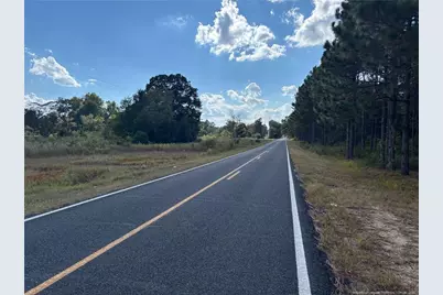 0 Maxton Pond Road N, Maxton, NC 28364 - Photo 2