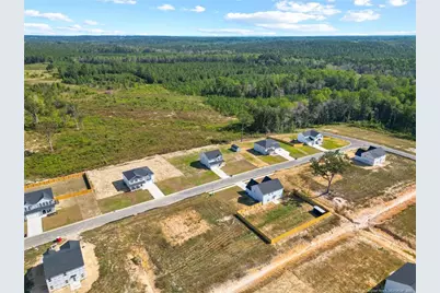 319 Palomo Place, Raeford, NC 28376 - Photo 44