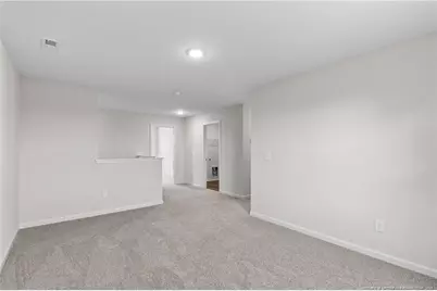 319 Palomo Place, Raeford, NC 28376 - Photo 24