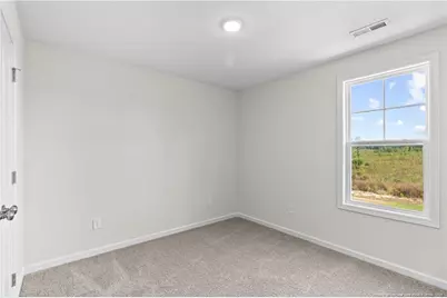 319 Palomo Place, Raeford, NC 28376 - Photo 40