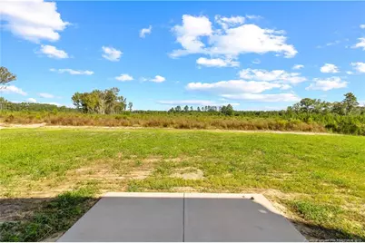 319 Palomo Place, Raeford, NC 28376 - Photo 48