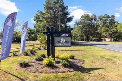 319 Palomo Place, Raeford, NC 28376 - Photo 50