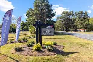 319 Palomo Pl, Raeford, NC 28376 - Photo 50