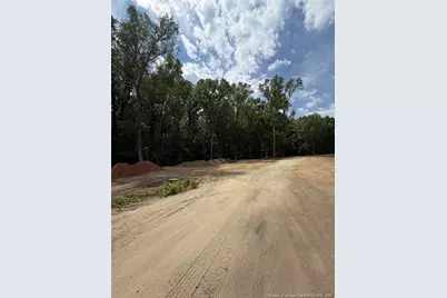 0 Fire Department Road, Wilsons Mills, NC 27527 - Photo 34