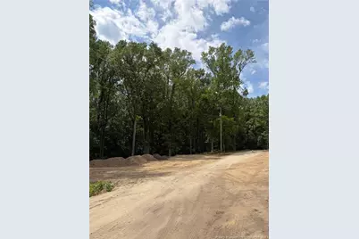 0 Fire Department Road, Wilsons Mills, NC 27527 - Photo 32