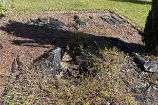 2809 Carabid Ct, Hope Mills, NC 28348 - Photo 8