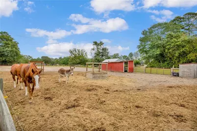 6409 Oak Grove Church Road, Stedman, NC 28391 - Photo 40