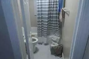 1214 Davenport St, Greenville, NC 27834 - Photo 8