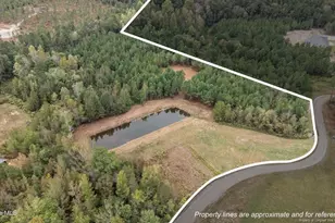 150 Hickory Pointer Wy, Cameron, NC 28326 - Photo 2