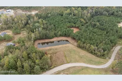 150 Hickory Pointer Way, Cameron, NC 28326 - Photo 6