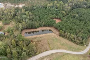 150 Hickory Pointer Wy, Cameron, NC 28326 - Photo 6