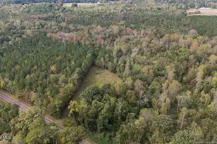 1435 Pineywood Church Rd, Cameron, NC 28326 - Photo 44