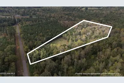 1435 Pineywood Church Road, Cameron, NC 28326 - Photo 2