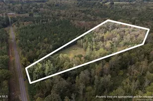 1435 Pineywood Church Rd, Cameron, NC 28326 - Photo 2