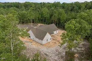 1435 Pineywood Church Rd, Cameron, NC 28326 - Photo 50