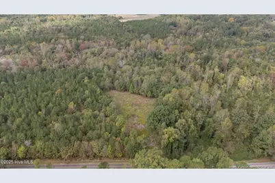 1435 Pineywood Church Road, Cameron, NC 28326 - Photo 8