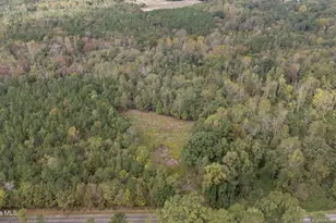 1435 Pineywood Church Rd, Cameron, NC 28326 - Photo 8