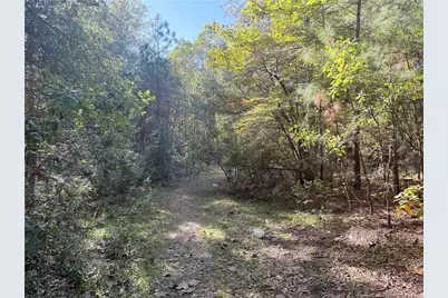 2608 Blowing Rock Court, Hope Mills, NC 28348 - Photo 6