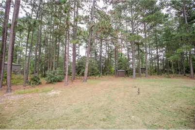 110 Willow Creek, Pinebluff, NC 28373 - Photo 48