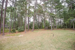 110 Willow Creek, Pinebluff, NC 28373 - Photo 48