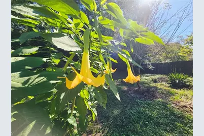 6766 Buttermere Drive, Fayetteville, NC 28314 - Photo 12