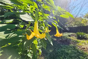 6766 Buttermere Dr, Fayetteville, NC 28314 - Photo 12