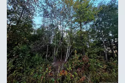 Walker Road, Linden, NC 28356 - Photo 2