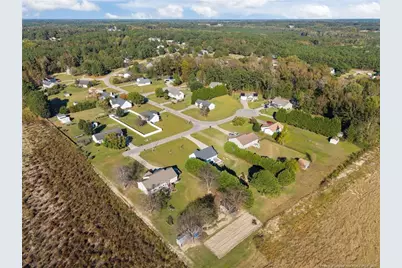 262 River Birch Run, Coats, NC 27521 - Photo 10