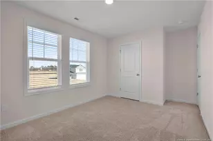 221 Buggy Top Ln, Autryville, NC 28318 - Photo 30