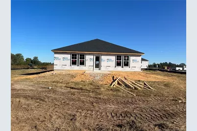 265 Buggy Top Lane, Autryville, NC 28318 - Photo 2