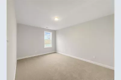 253 Brickendon (Lot 322) Lane, Raeford, NC 28376 - Photo 20