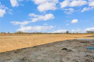 208 Buggy Top Ln, Autryville, NC 28318 - Photo 38